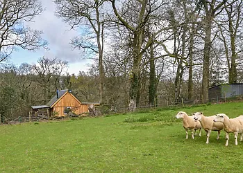 Set on the edge of the owners farm