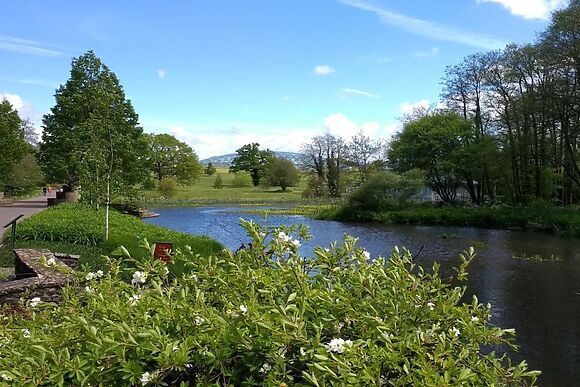 Mayfair In Llansteffan