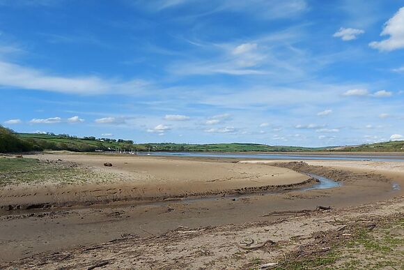 Wayside In Llansteffan