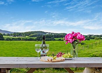 The Hideout The Hare