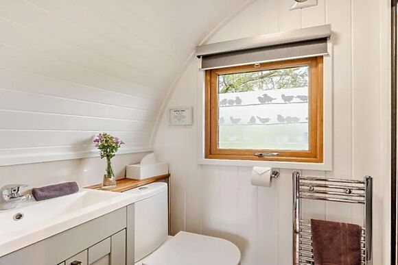 The Hideout The Hare