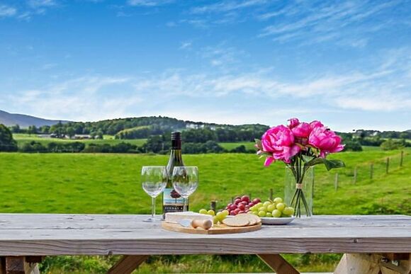 The Hideout The Hare