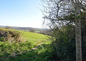 Lots of footpaths nearby to explore