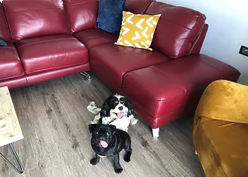 Room for all the family