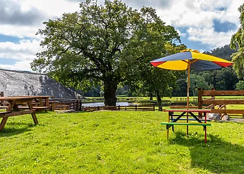 The perfect place for a picnic 
