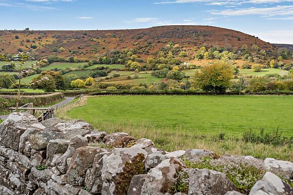 Mawr Dew Cottage