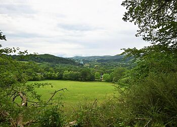 Mount Pleasant Llandovery