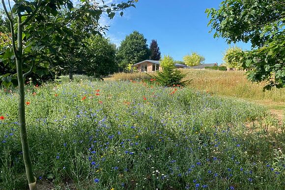 The Bolt Hole Lyneal Mill