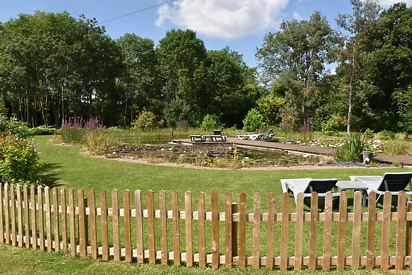 The Damselfly Retreat