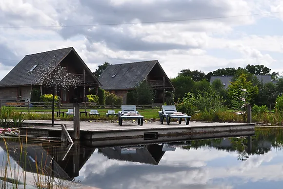 The Damselfly Retreat