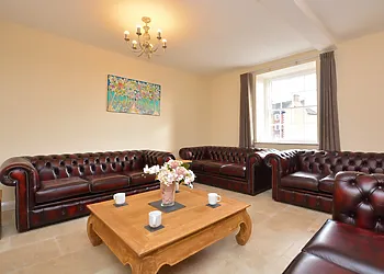 Relax with good company here