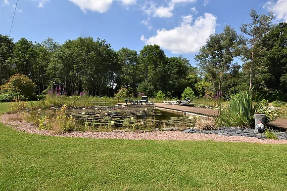 The Dragonfly Retreat