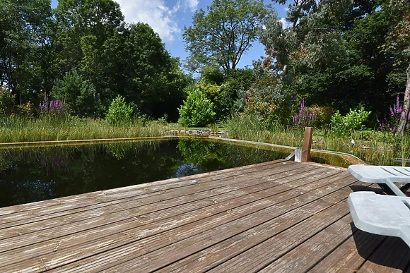 The Dragonfly Retreat