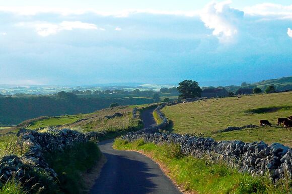 Snake And Diamond Cottage