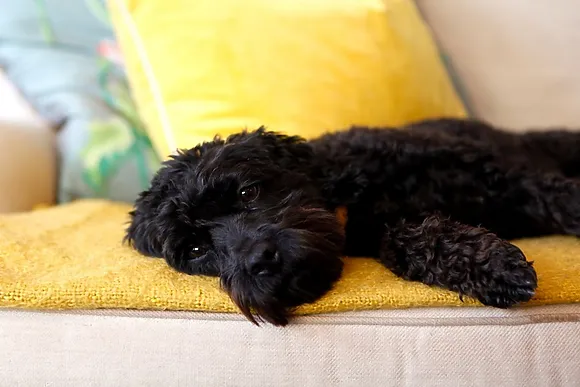 The Hay House Retreat