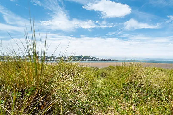 Sandbars Instow