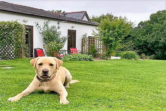 Gower Tides The Stable