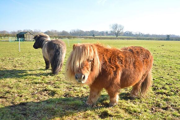 The Dovecote East Barkwith