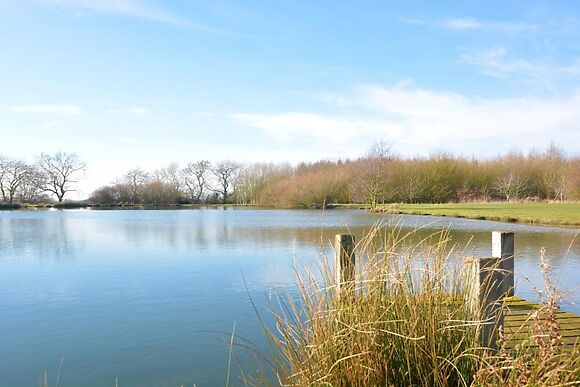 The Dovecote East Barkwith