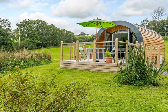 Porthdy Gwas Y Neidr New Quay