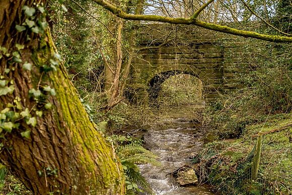 Treacle Bridge Cottage