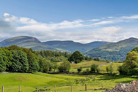 Grizedale Lake District