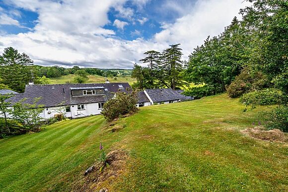Grizedale Lake District
