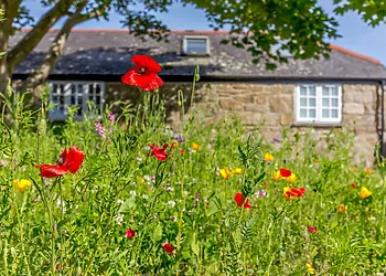 Surrounded in gorgeous countryside