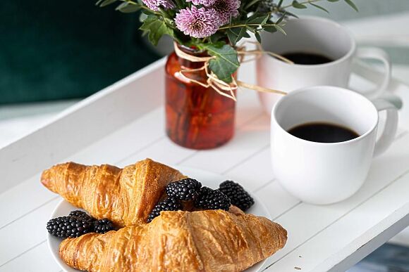 Ramblers Retreat Brixham