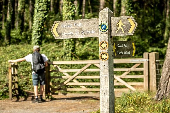 Silver Birch Cottage
