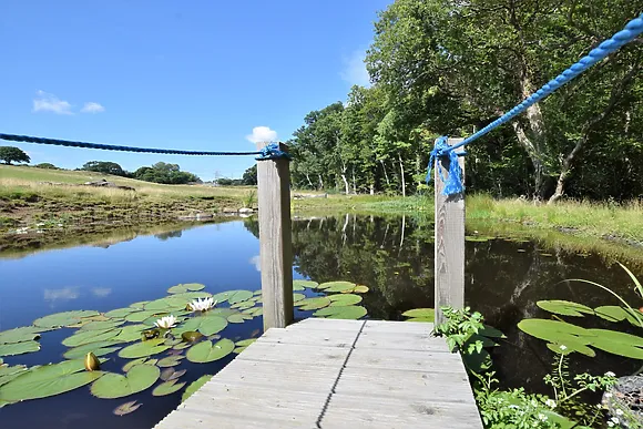 Conwy Valley Farmhouse