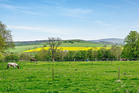 Swallows Retreat At Calthwaite Hall