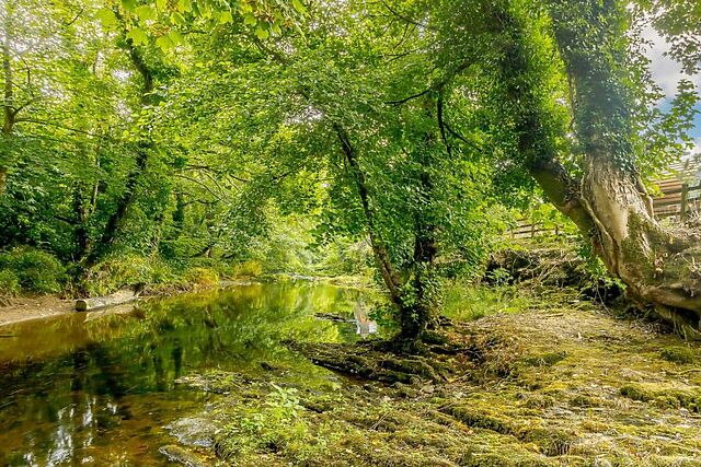 Dartmoor River Retreat