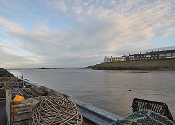 Dunedin Seahouses
