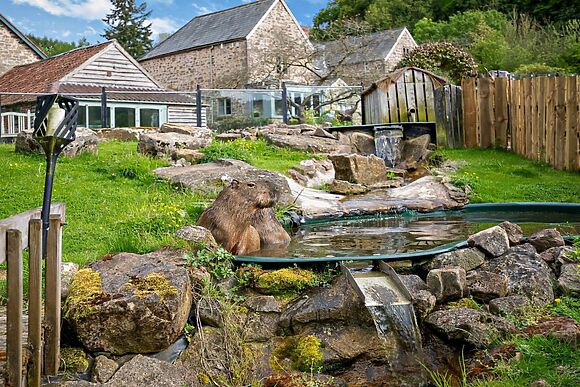 1-Bedroom Coach House in Deepdean
