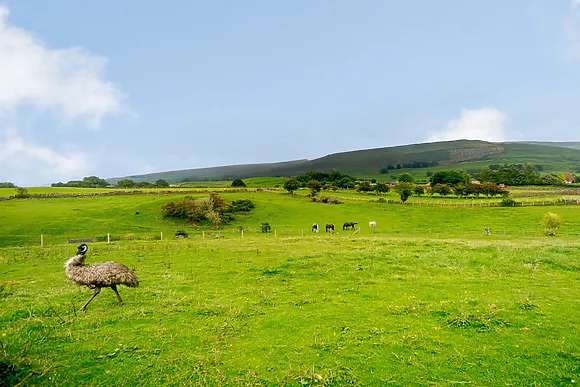 Coachmans Country Cottage