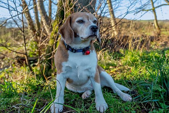 The Light House Clun Valley