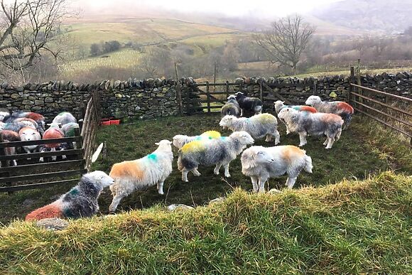 Old School House Matterdale