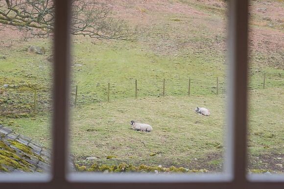 Dovedale Cottage