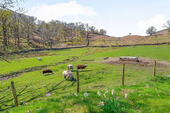 Hause Gill