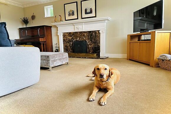 Yew Trees Windermere