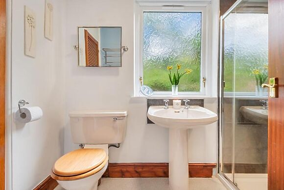 Yew Trees Windermere