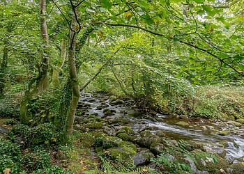 Llys Andreas House