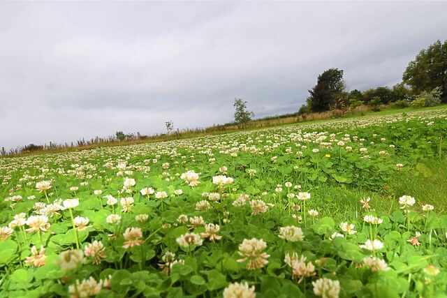 The Stables Churchill Park Farm