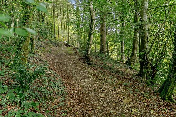 The Little Barn Cilgraig
