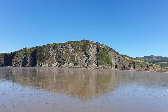 Treetops Coastal Retreat