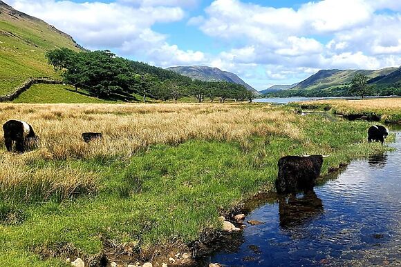 Silver How Rosthwaite