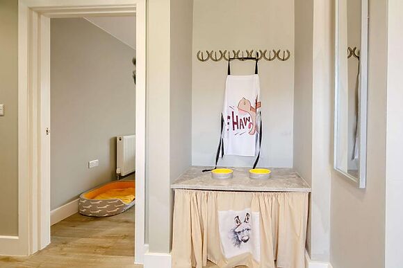 Ty Asyn Donkey House