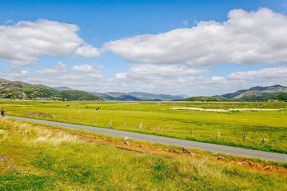 Ty Asyn Donkey House