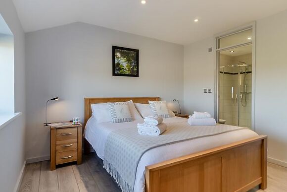 Barn Owl, Oxley Dairy